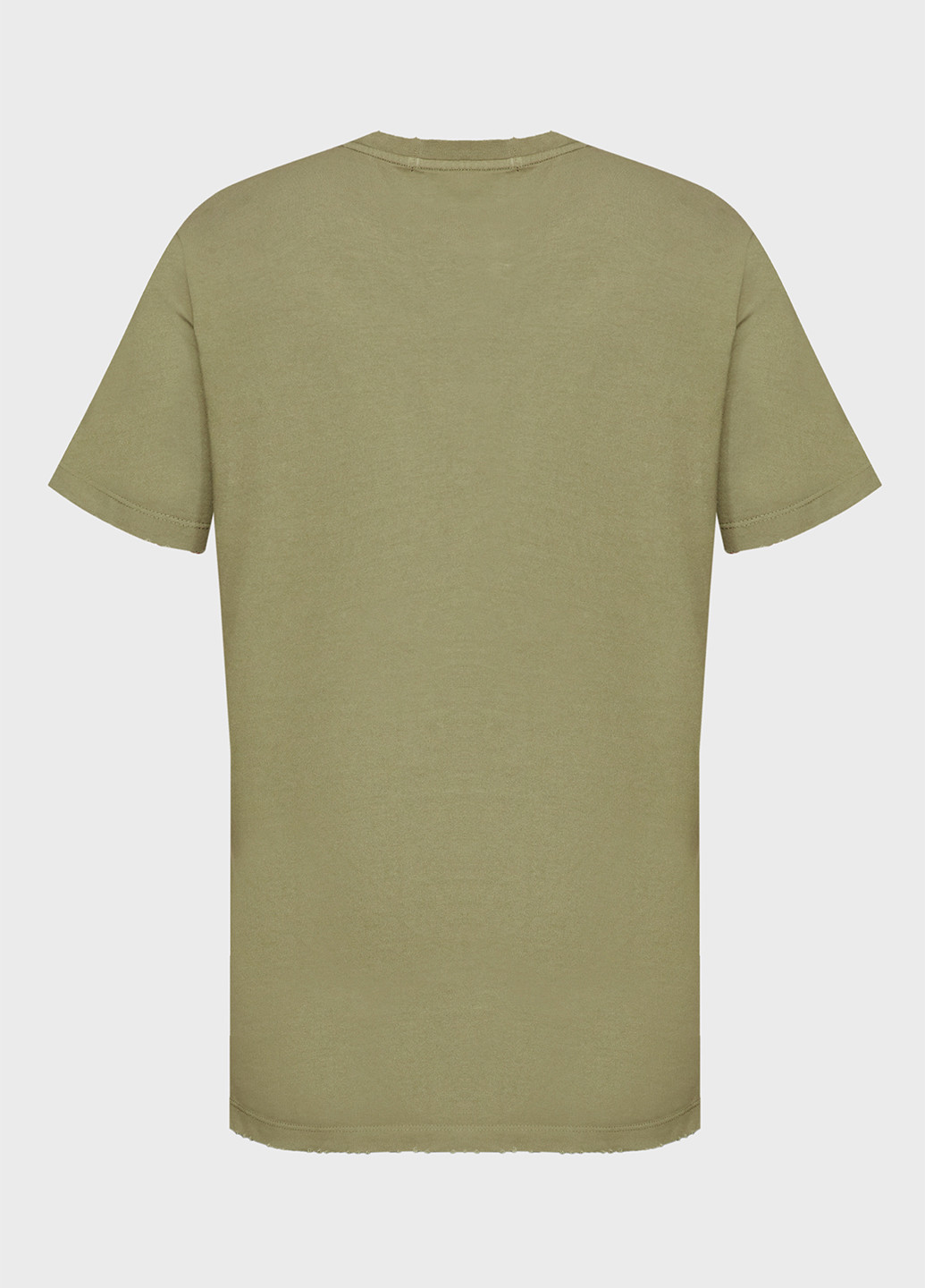 Оливковая футболка Replay