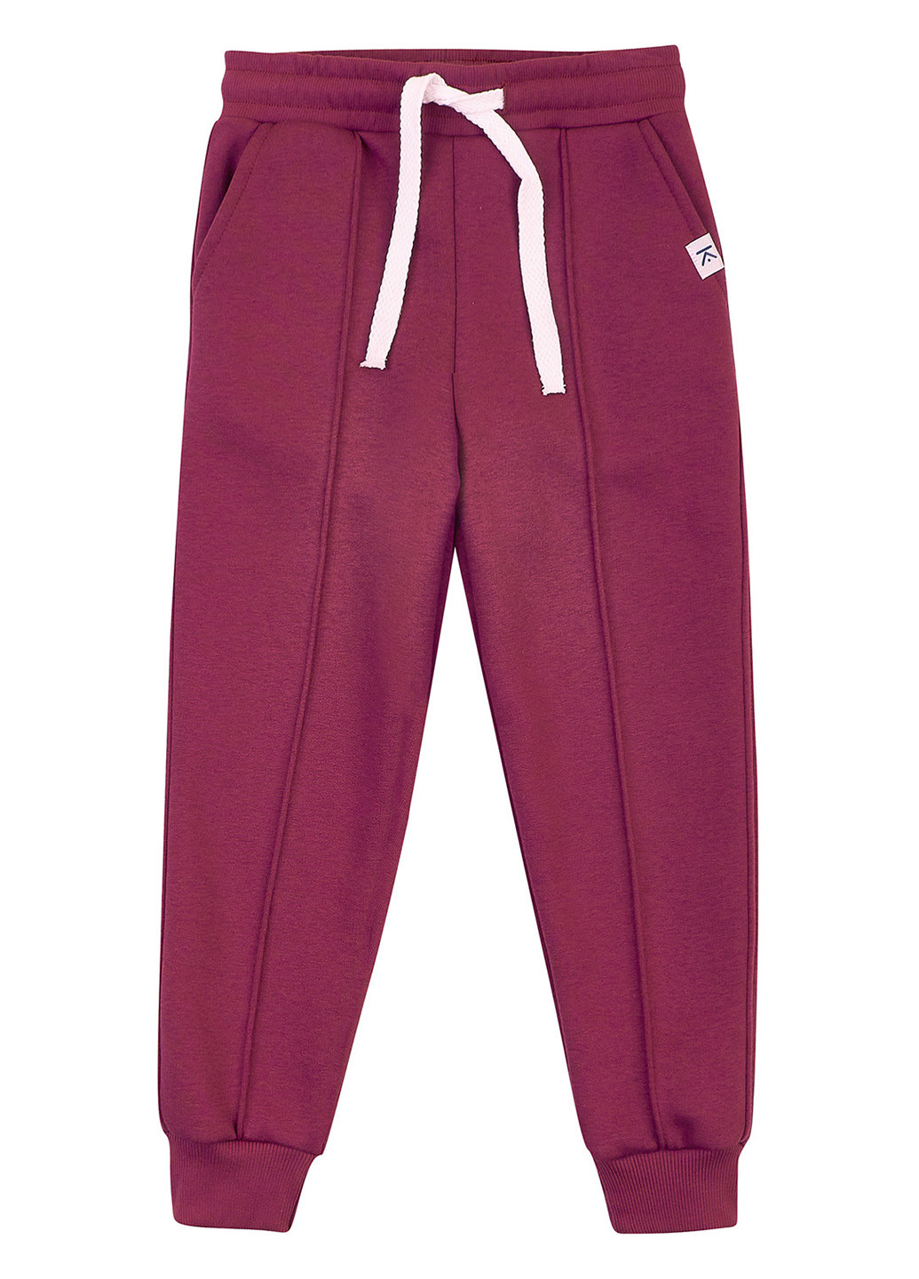 Фиолетовые спортивные демисезонные джоггеры брюки KRAKO