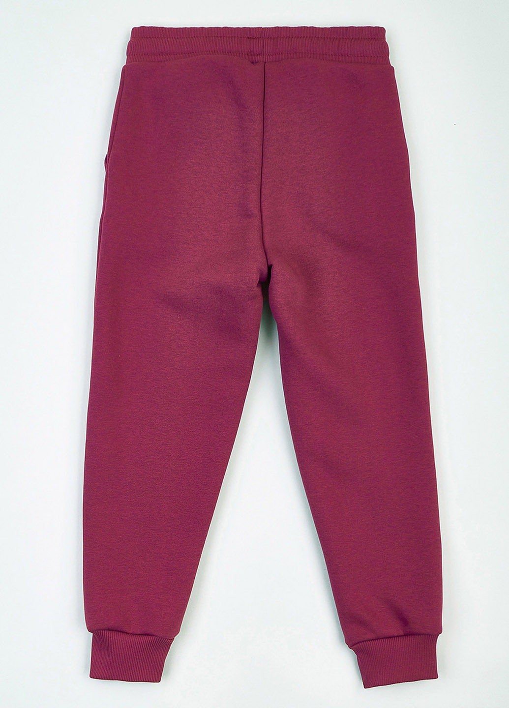 Фиолетовые спортивные демисезонные джоггеры брюки KRAKO