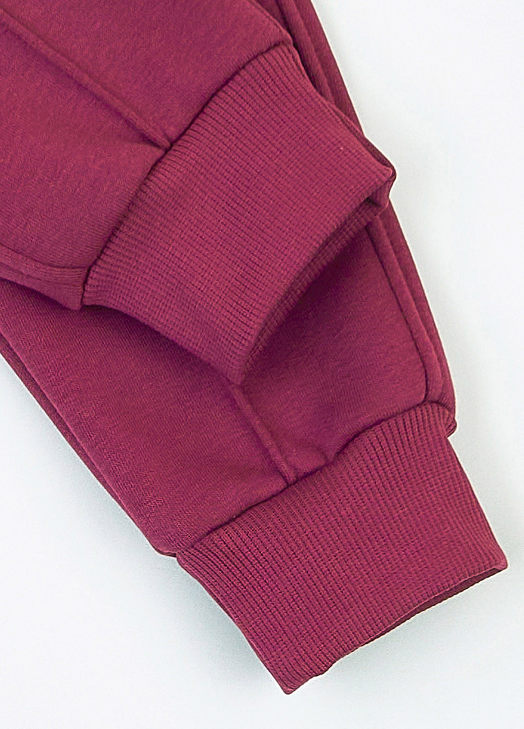 Фиолетовые спортивные демисезонные джоггеры брюки KRAKO