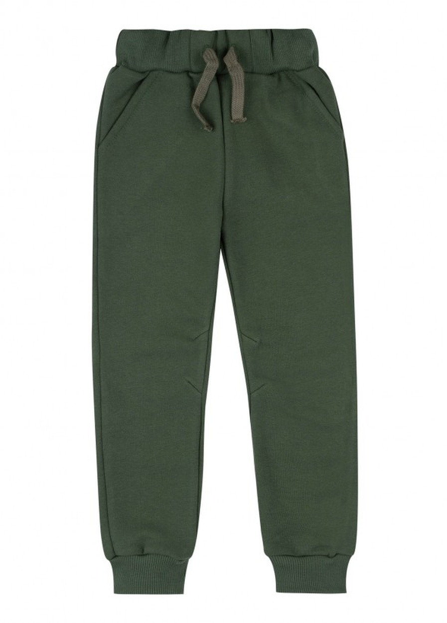 Спортивні штани на флісі Бембі ШР753 зелені Бемби (255334747)