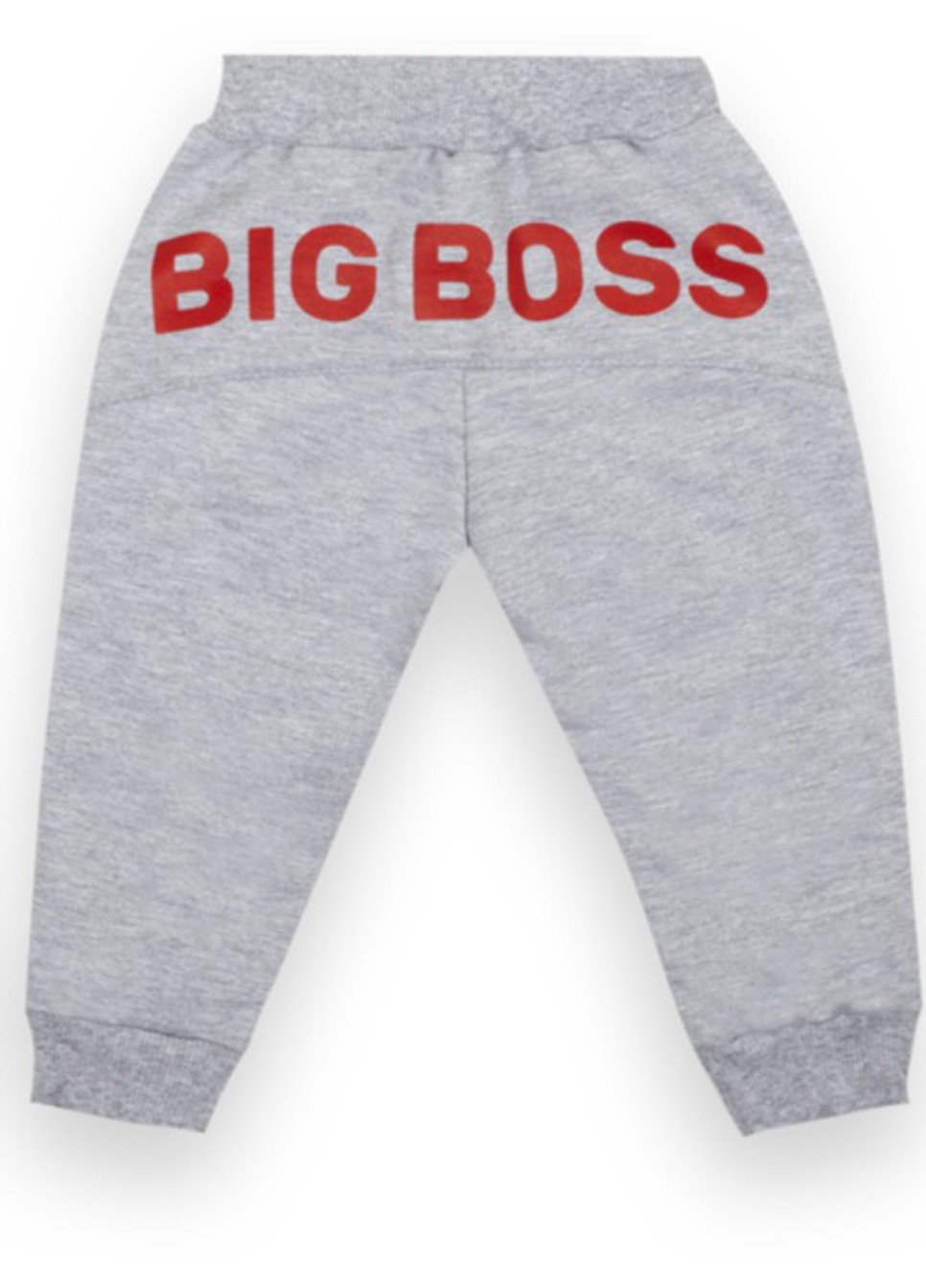 Серые спортивные демисезонные брюки Габби