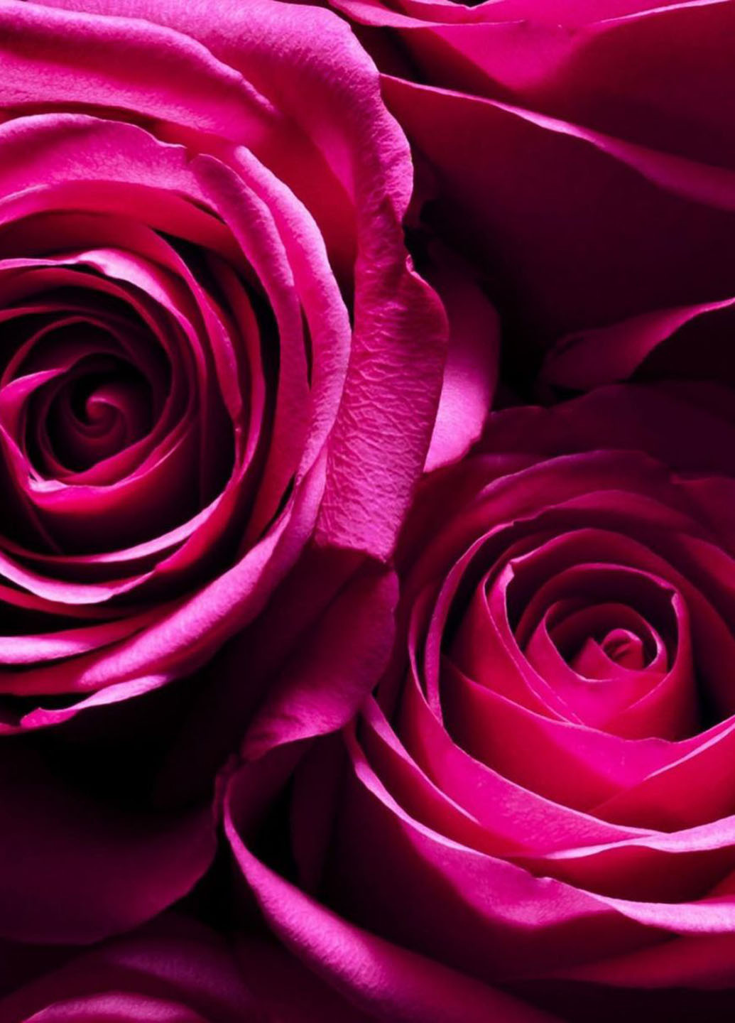 Мист, 75 мл Victoria's Secret (252882451)