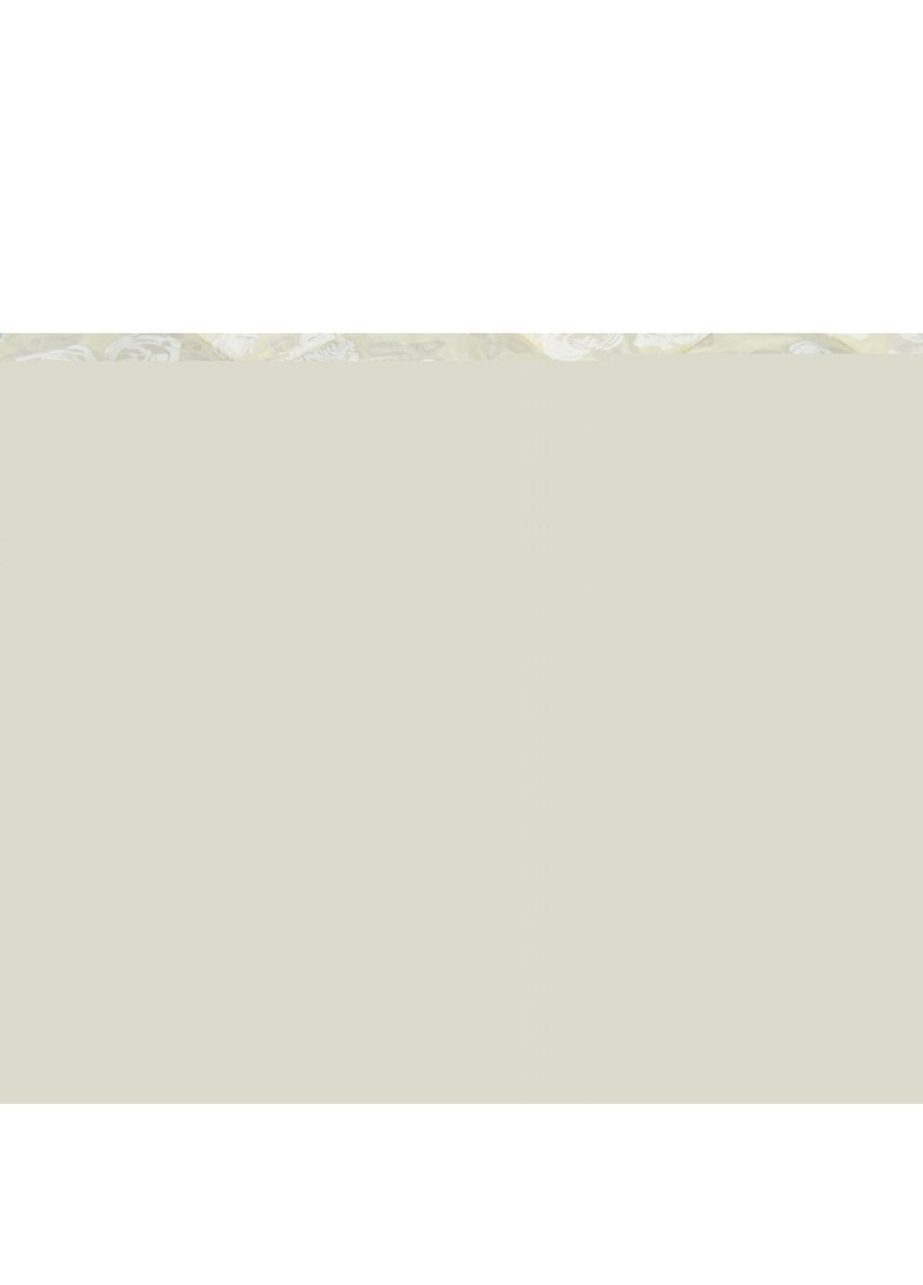 Одеяло MirSon пуховое Extra 041 зима 172x205 см (2200000002709) No Brand (254013540)