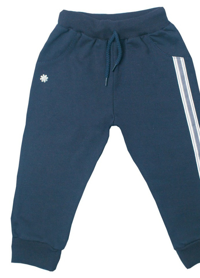 Синие спортивные зимние брюки Габби