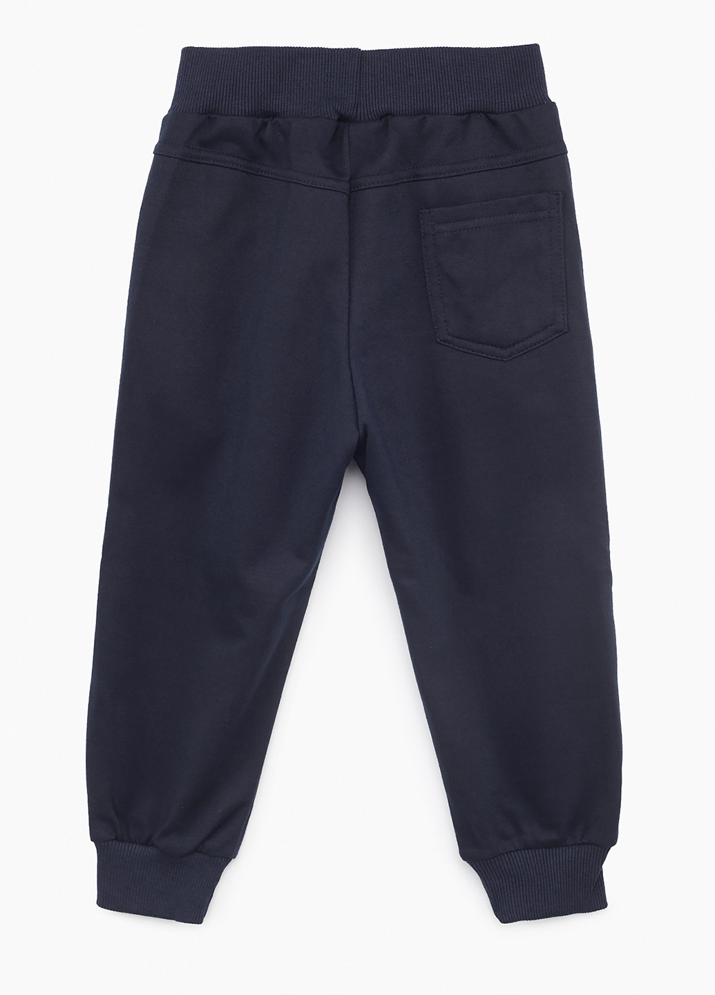 Темно-синие спортивные демисезонные брюки джоггеры S&D