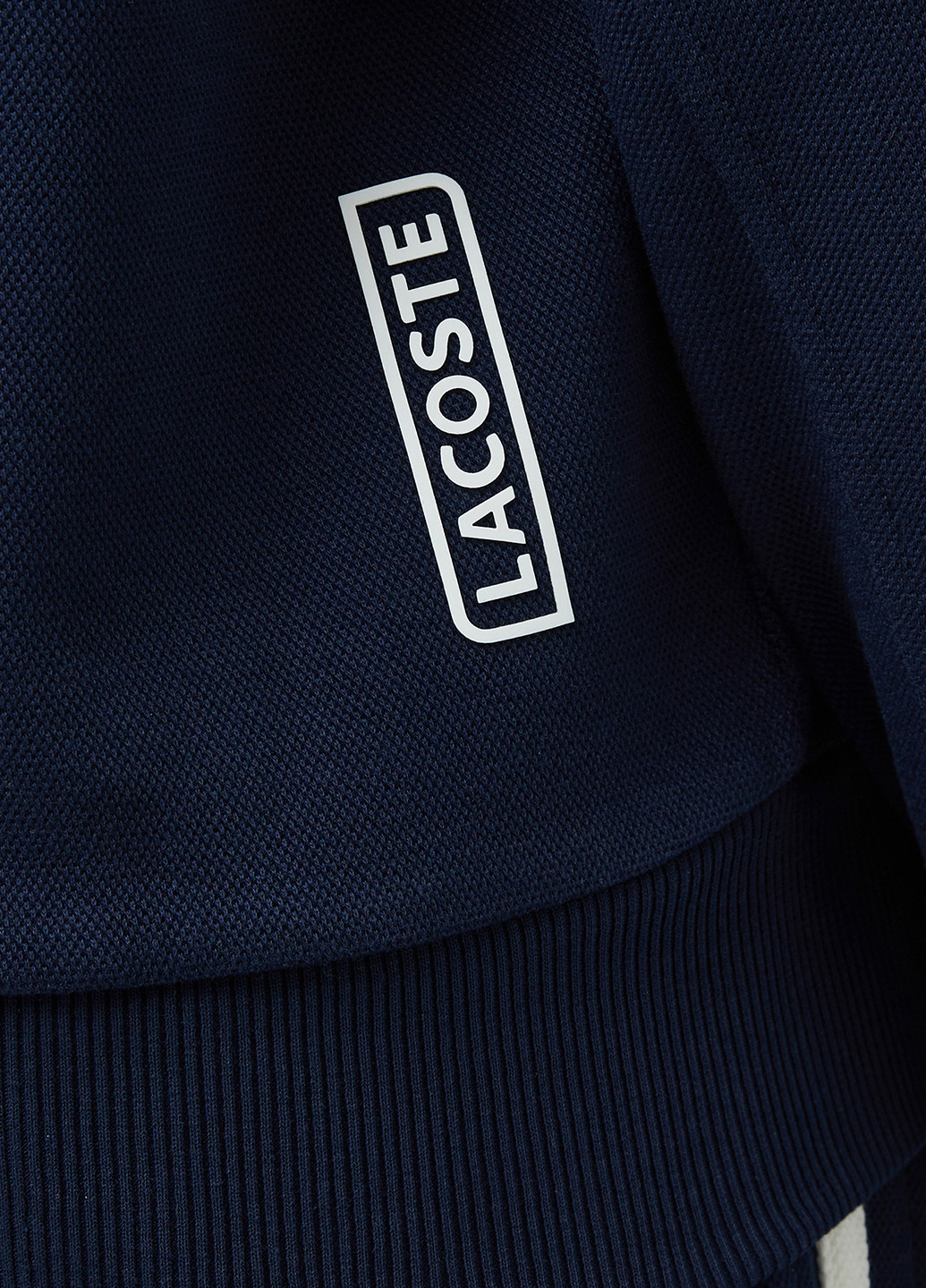 Толстовка Lacoste (363619787)