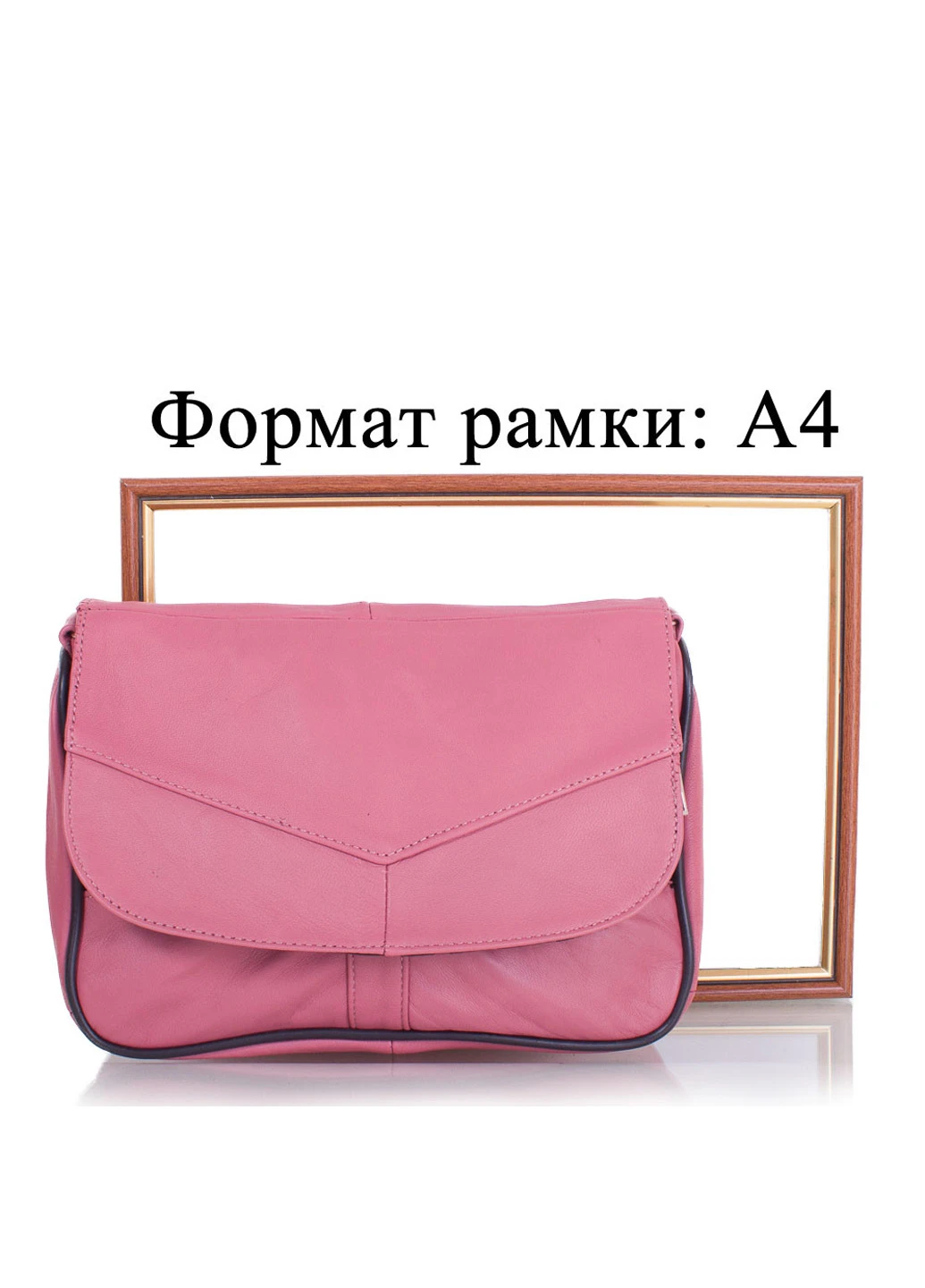 Женская кожаная сумка-почтальонка 25,5х17,5х9,5 см TuNoNa (195547525)