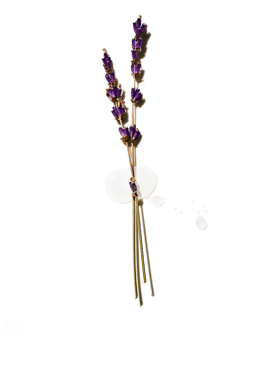 Скраб, 283 г Victoria's Secret (322017330)