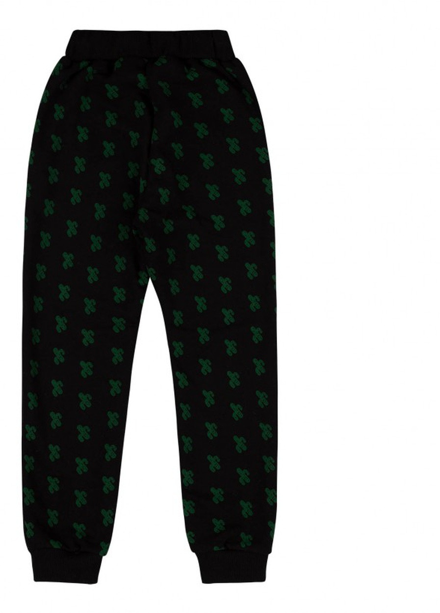 Спортивні штани на флісі Бембі ШР753 чорні в кактус Бемби (254570601)