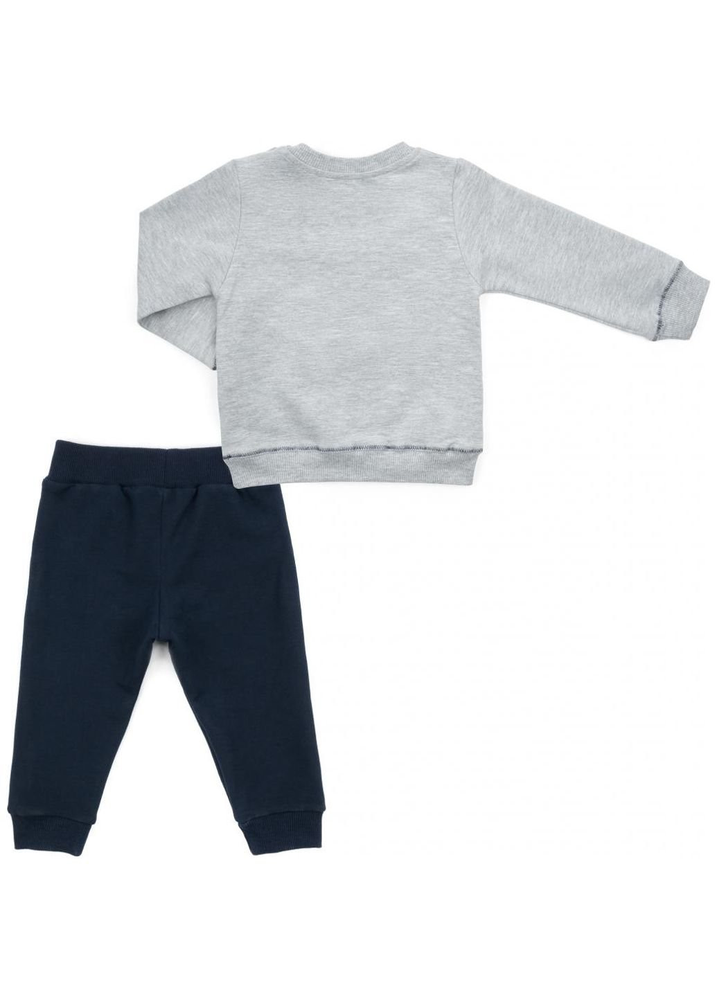 Темно-синий демисезонный набор детской одежды с тигриком (13251-80b-gray) Breeze