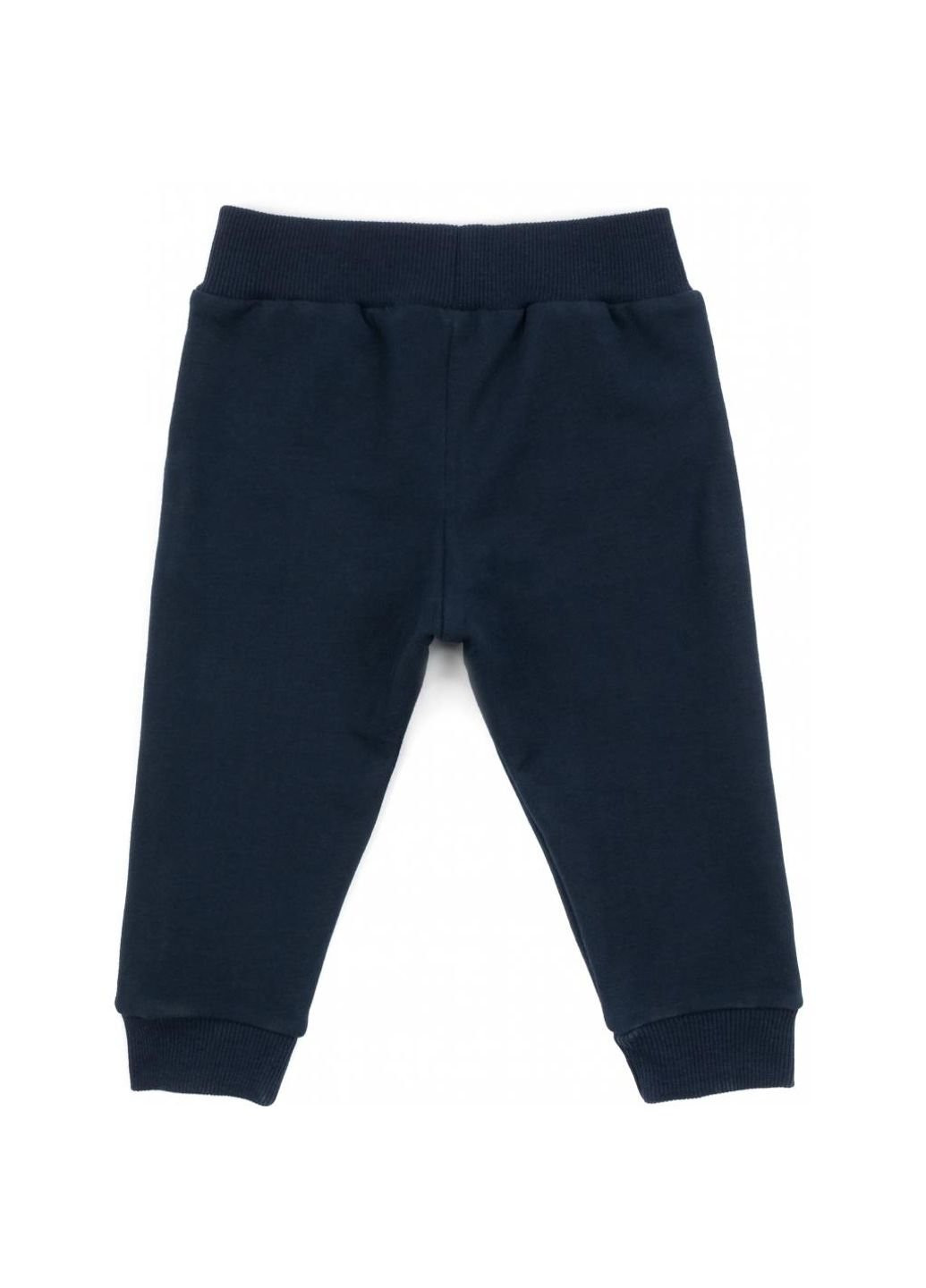 Темно-синий демисезонный набор детской одежды с тигриком (13251-80b-gray) Breeze