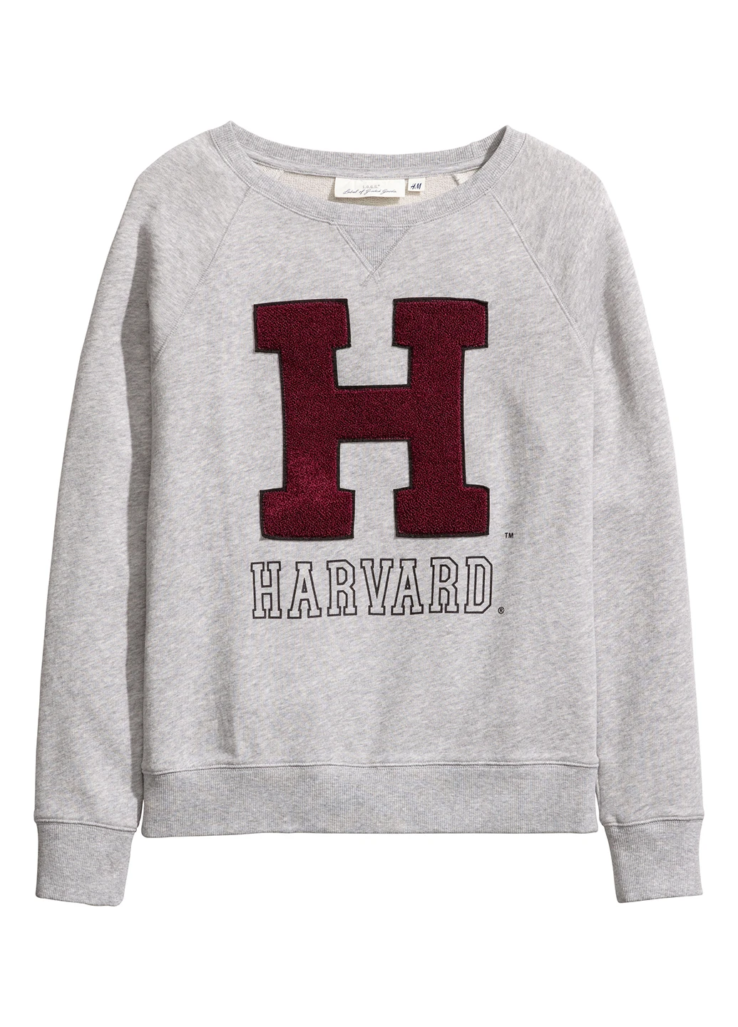 Світло-сірий світшот H&M напис (143224700)