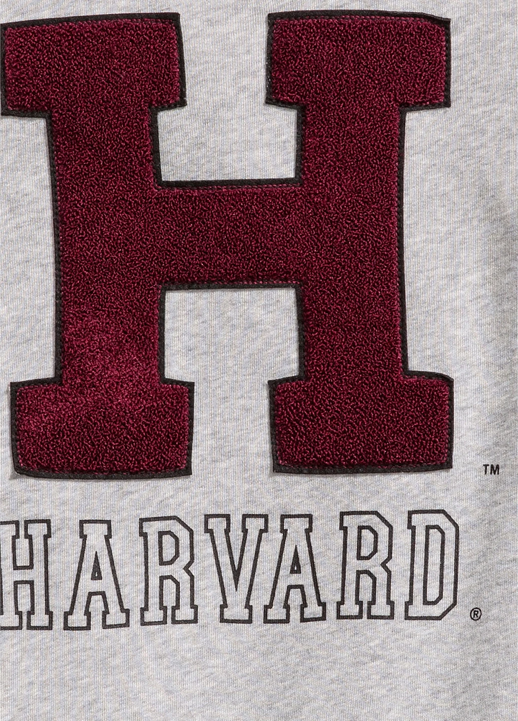 Світло-сірий світшот H&M напис (143224700)