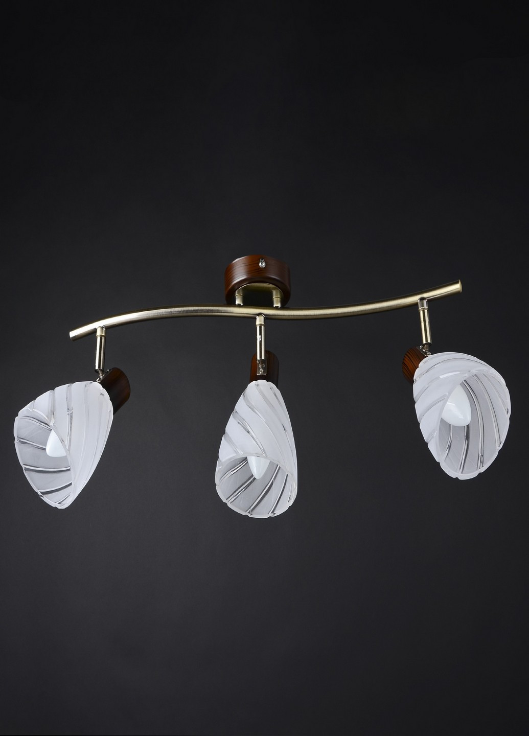 HTL-160/3 E14 світильник спот Brille (185914248)