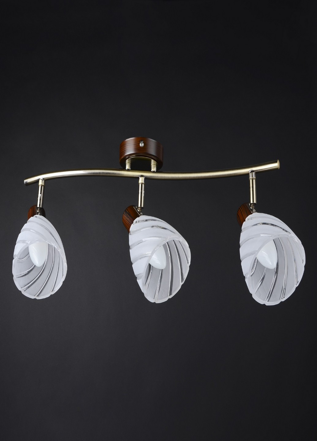 HTL-160/3 E14 світильник спот Brille (185914248)