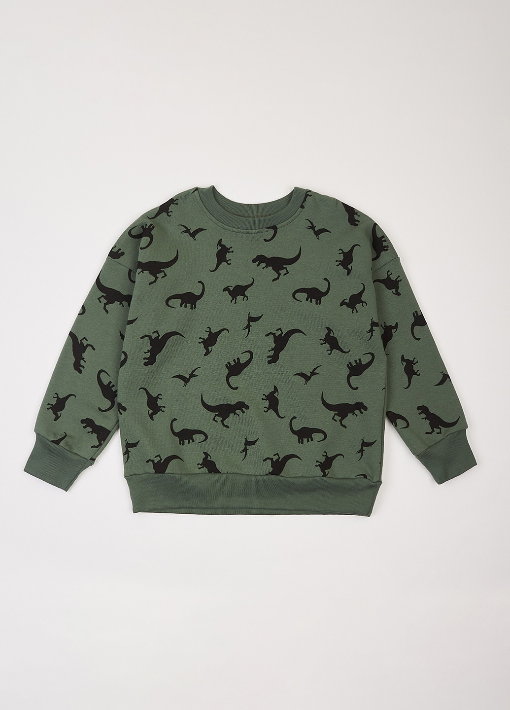 Фламинго свитшот динозавр серо-зеленый кэжуал трехнитка, хлопок