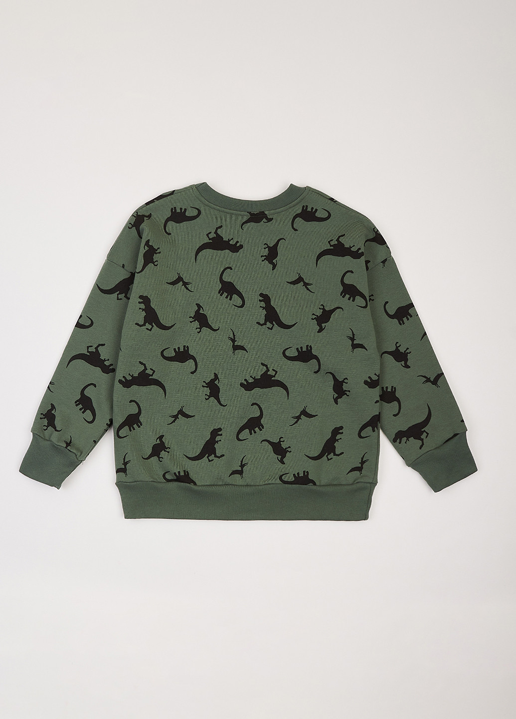 Фламинго свитшот динозавр серо-зеленый кэжуал трехнитка, хлопок