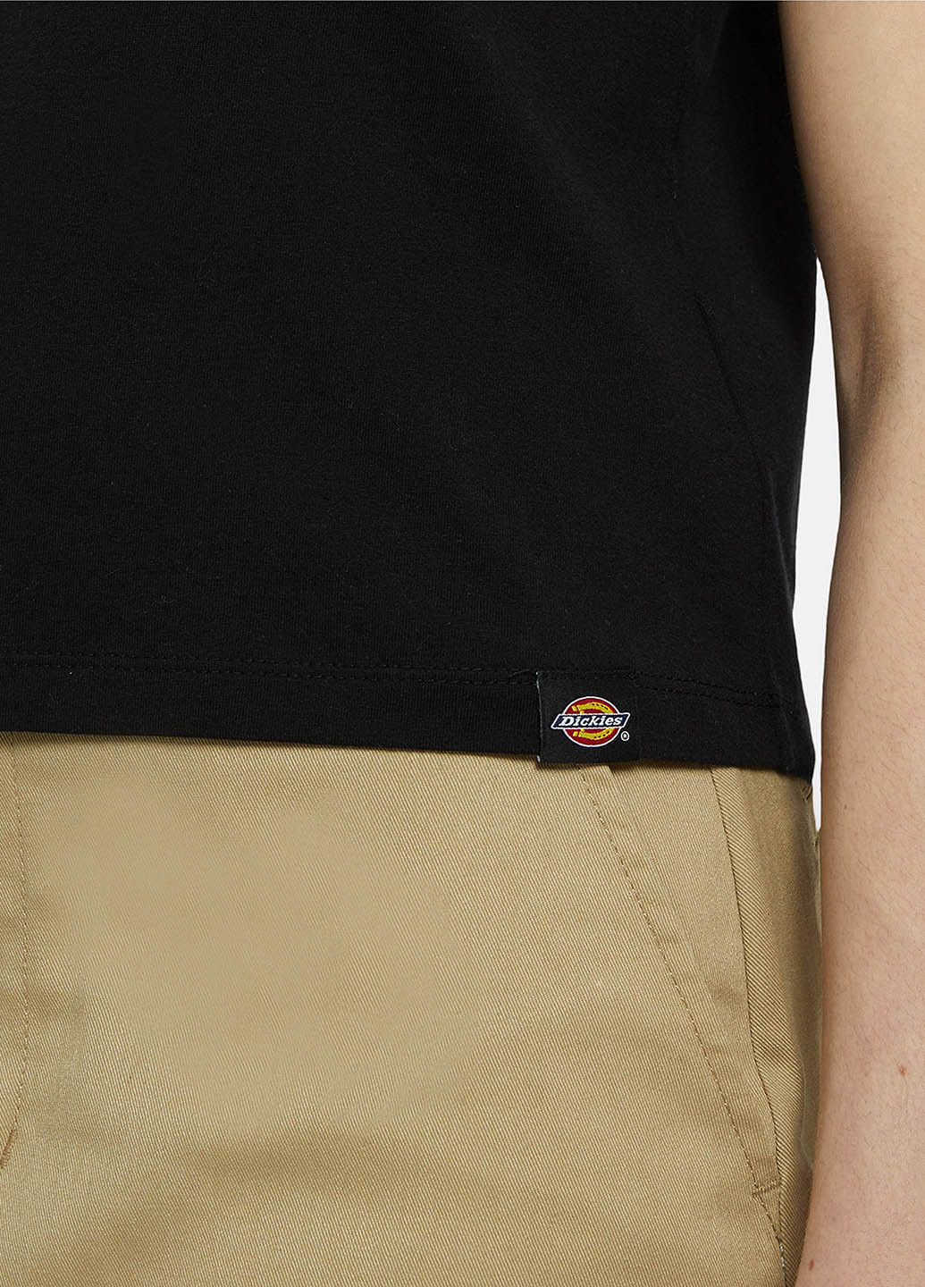 Футболка Dickies - (365697381)