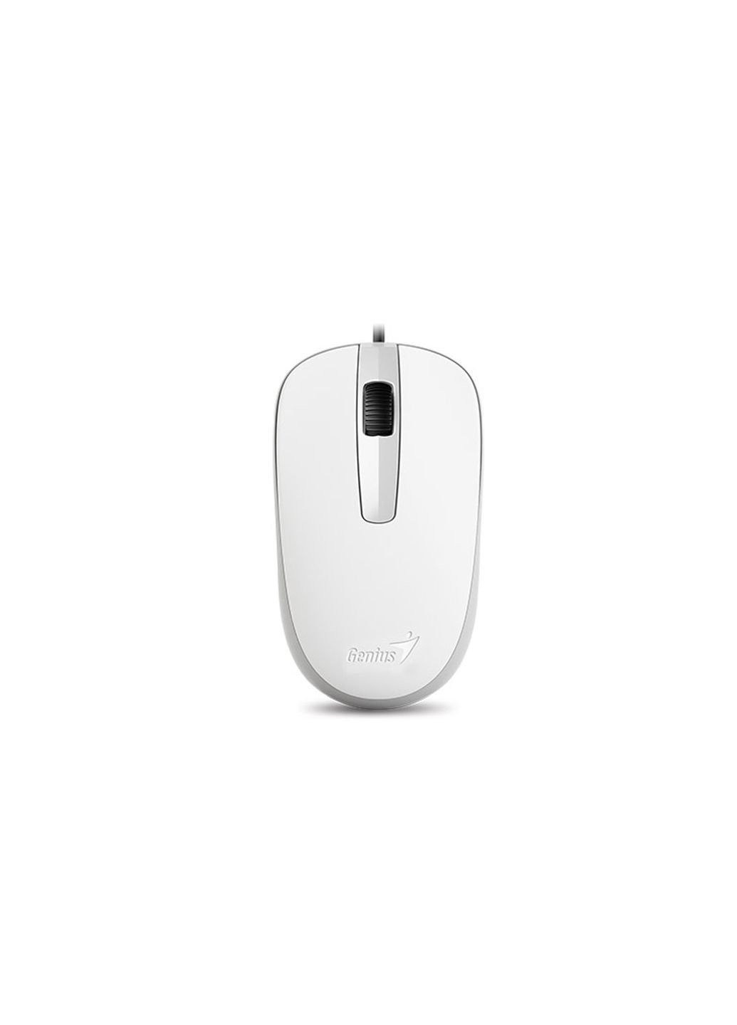 Мишка DX-120 USB White (31010105102) Genius (253546055)