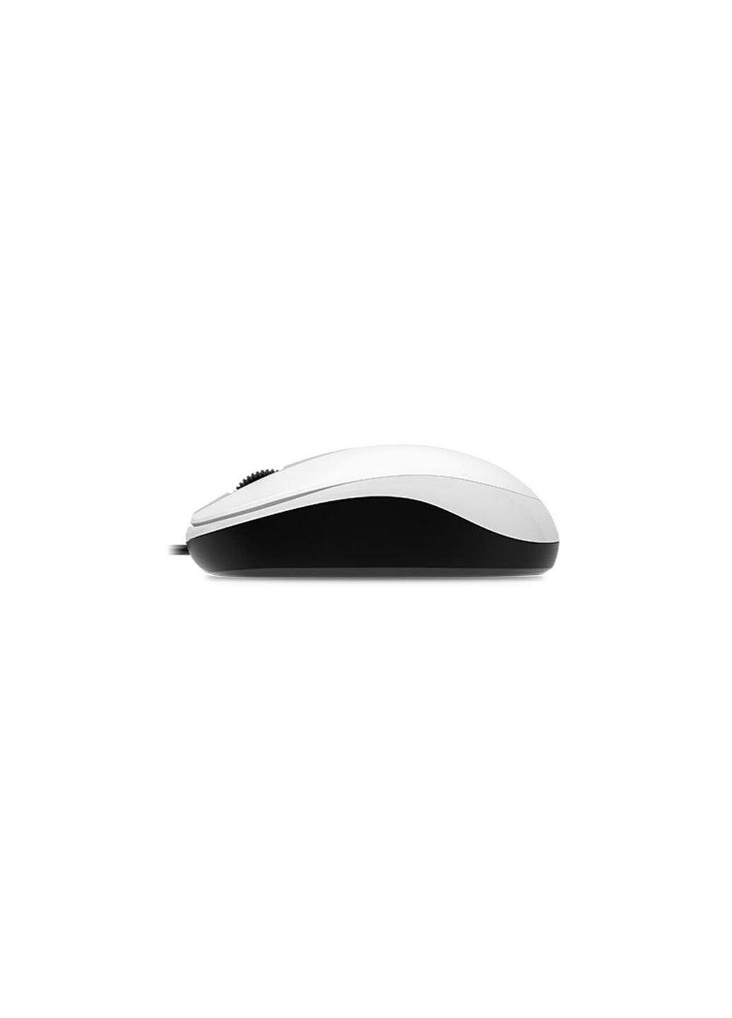 Мышка DX-120 USB White (31010105102) Genius (253546055)