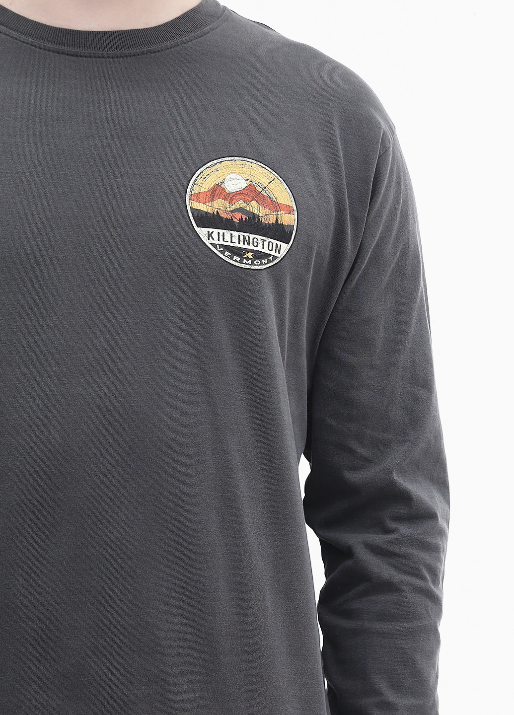 Темно-серый демисезонный кэжуал лонгслив Blue 84 с рисунком