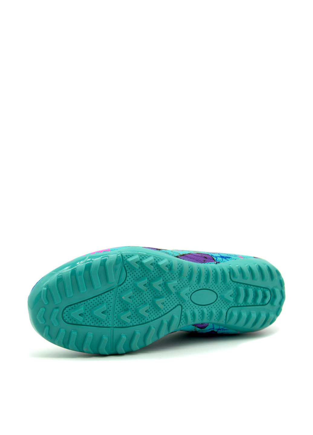 Сороконіжки LaLiga (316691282)