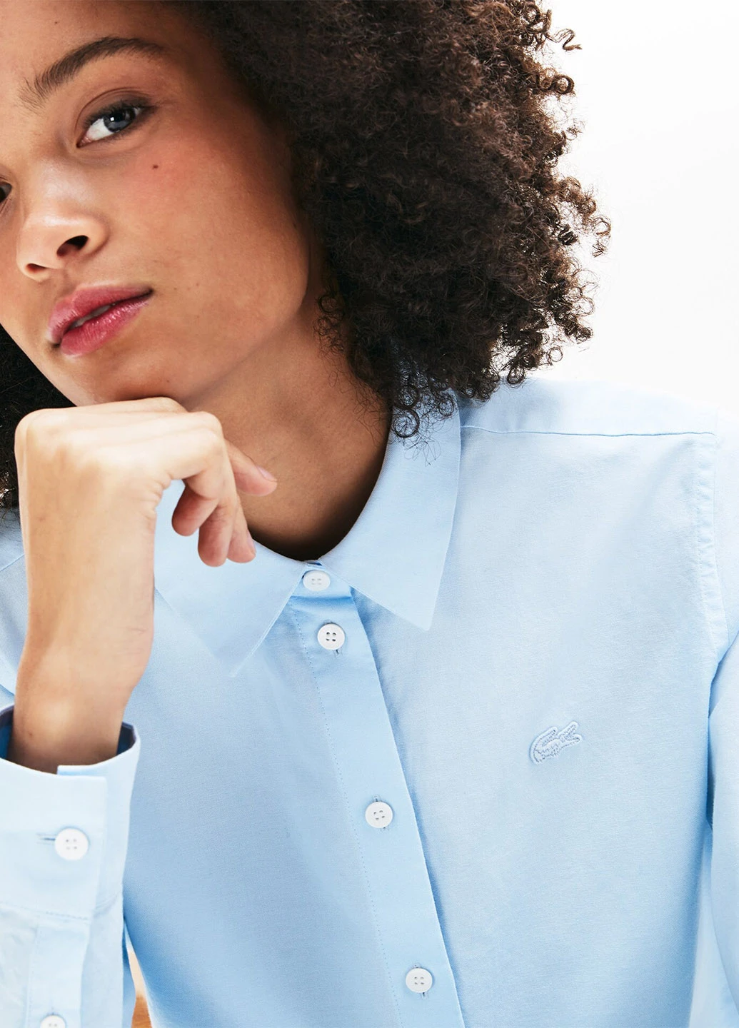 Сорочка Lacoste (250318729)