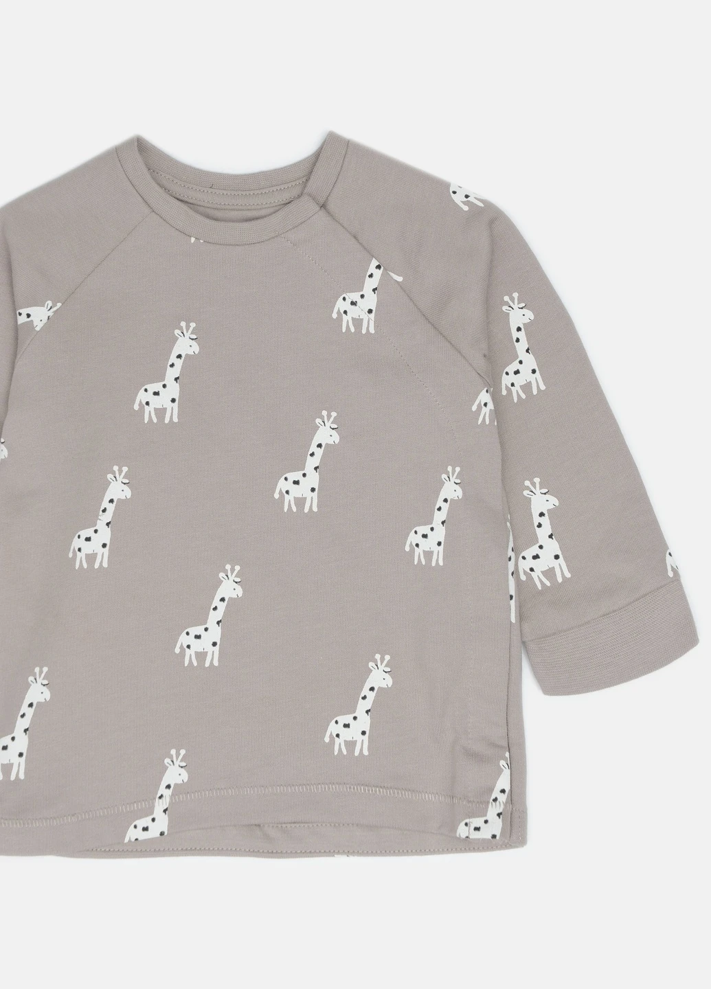 Сіро-бежевий світшот H&M малюнок (248414407)