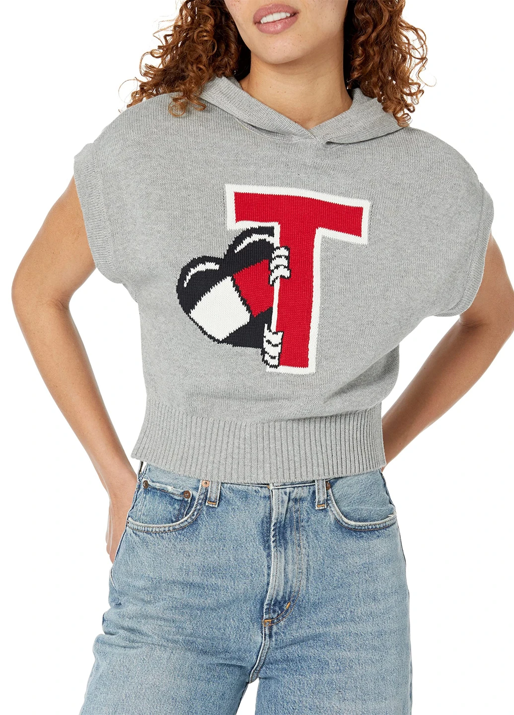 Сірий демісезонний светр Tommy Hilfiger