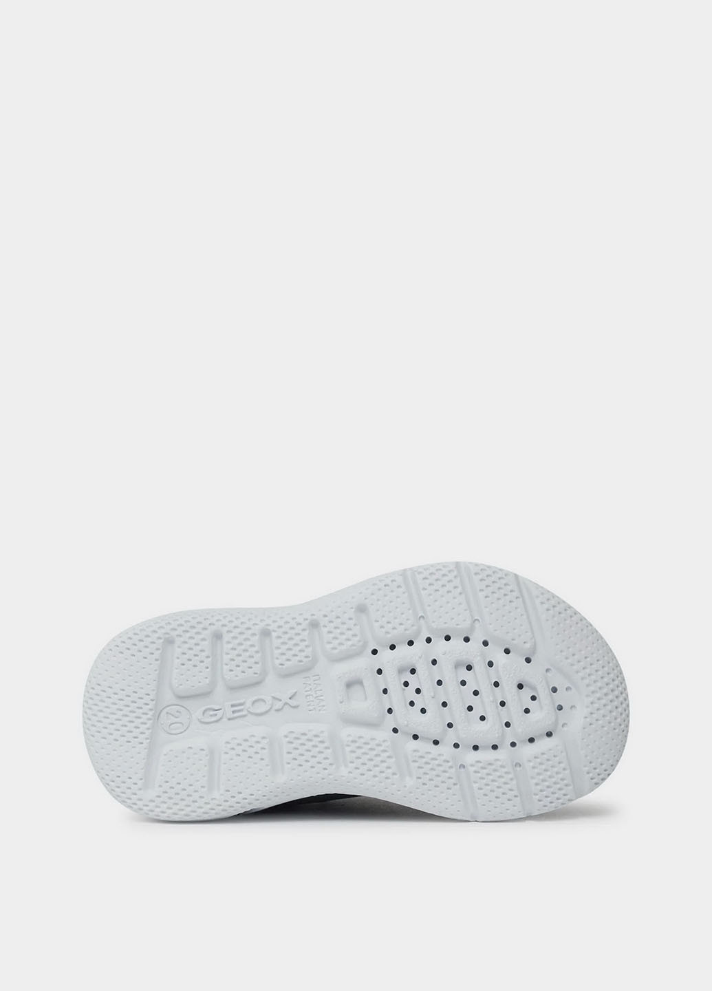 Синій Осінні кросівки Geox