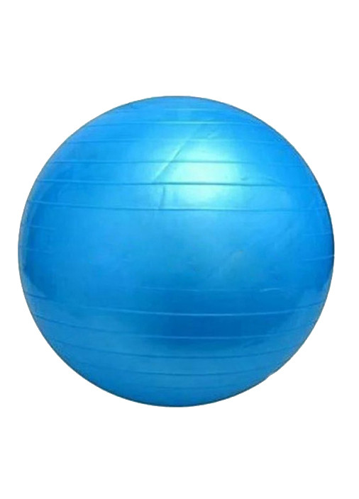 М'яч для фітнесу Profit Ball 65 см синій (фітбол, гімнастичний м'яч для вагітних) PB-65-Sr EasyFit (243205426)