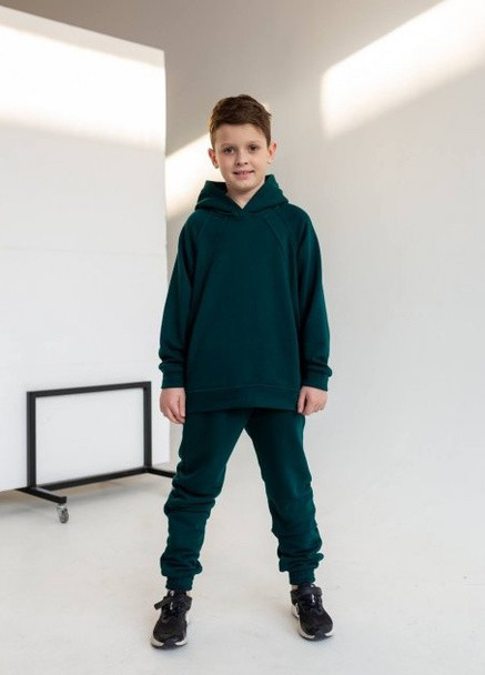 Спортивний костюм OBZOR 803 (252869697)