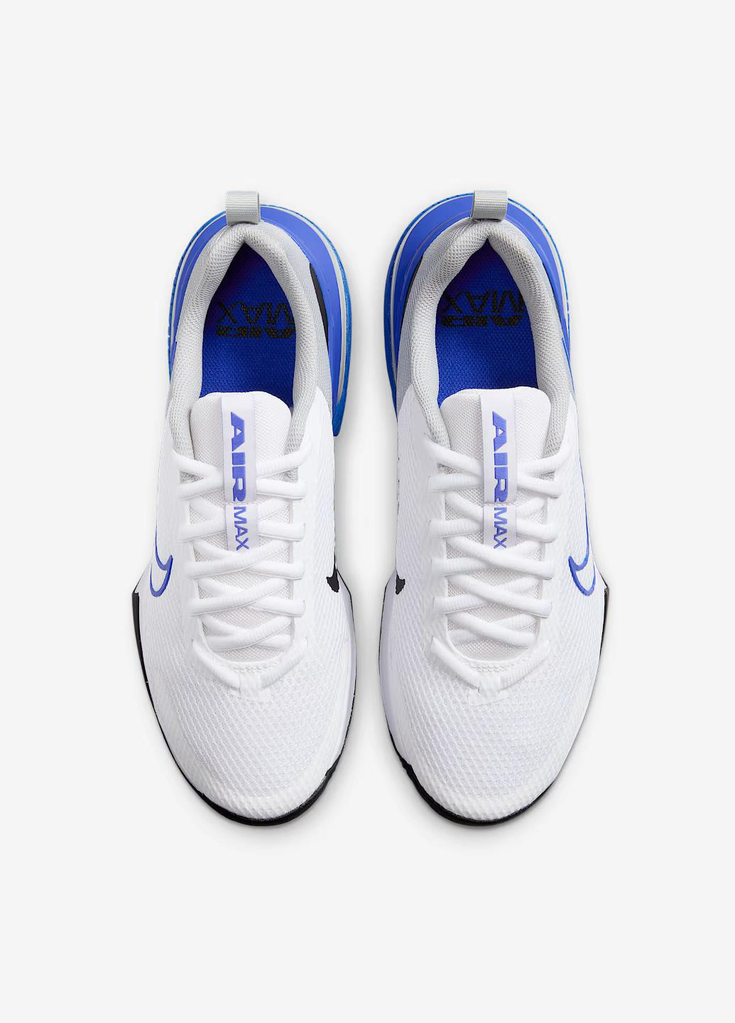 Цветные демисезонные кроссовки Nike Air Max Alpha Trainer 6