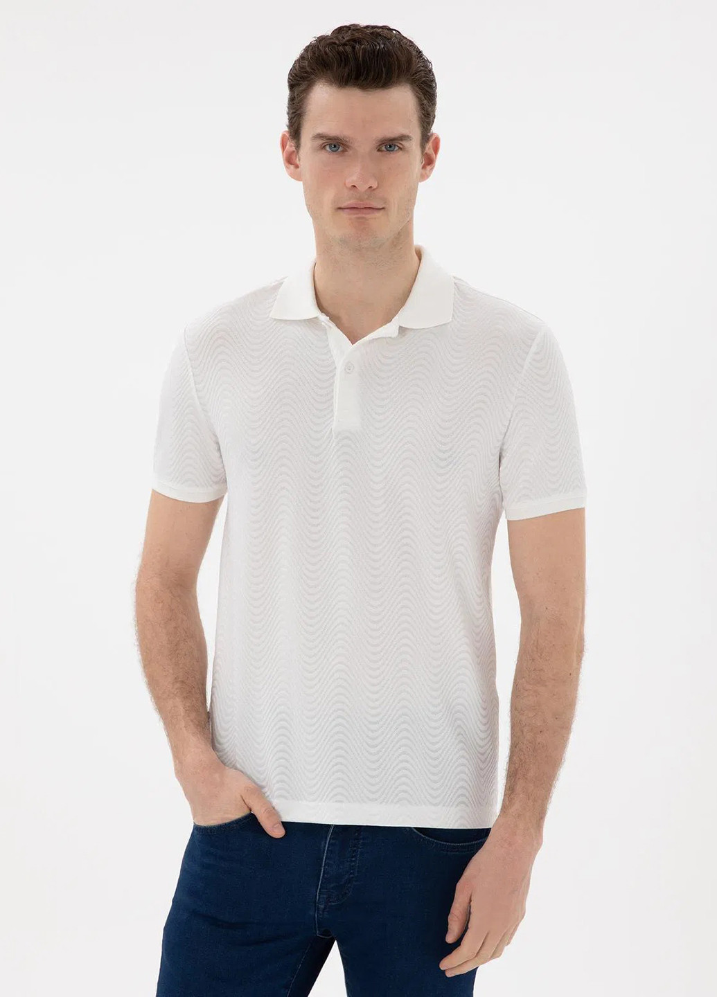 Поло Pierre Cardin (346474475)