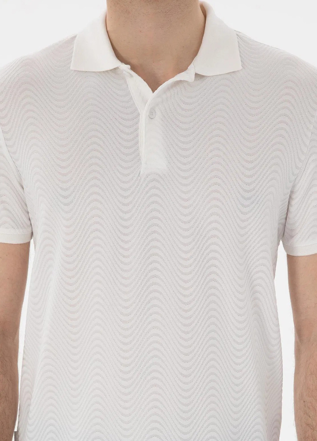 Поло Pierre Cardin (346474475)