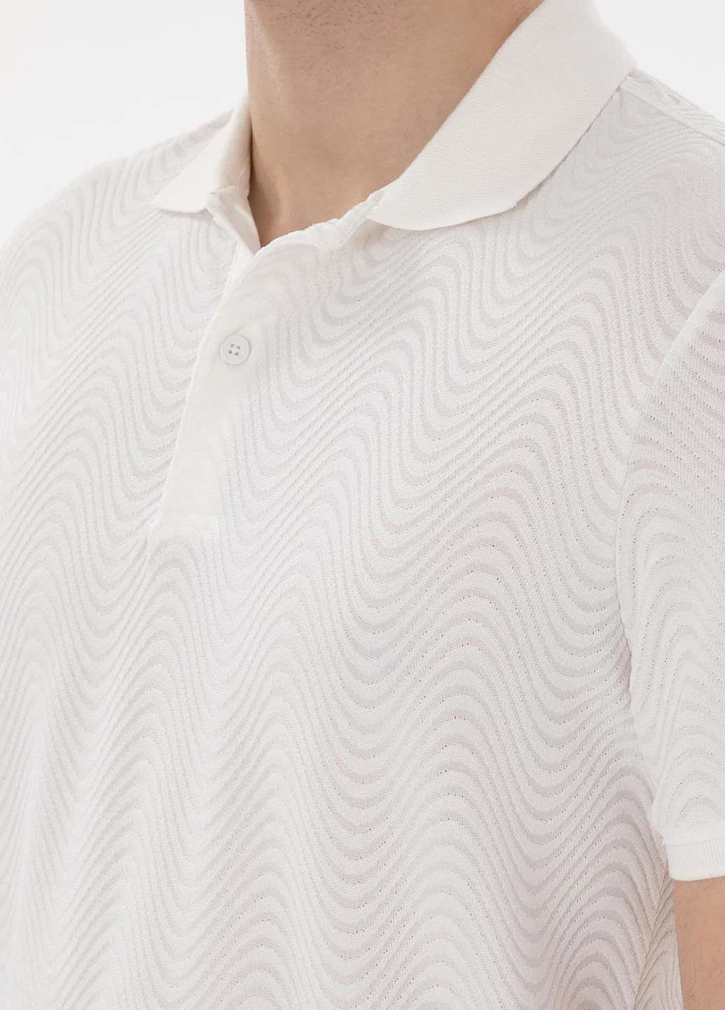 Поло Pierre Cardin (346474475)