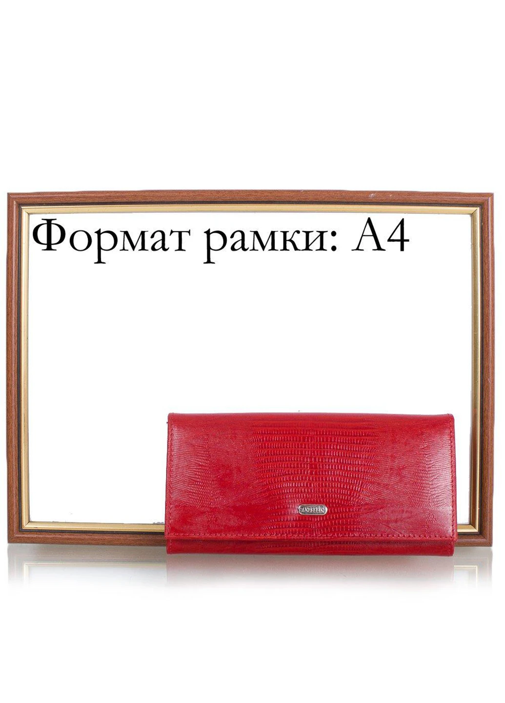 Женский кожаный кошелек 18,5х9,5х3 см Canpellini (253031994)