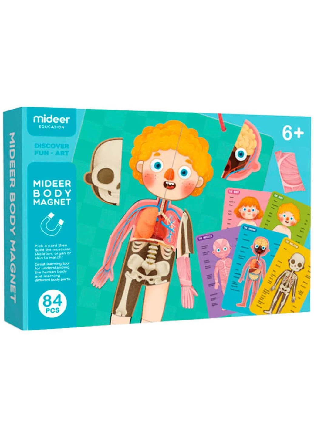 Магнитный пазл Тело человека 84 элемента MiDeer (253257627)