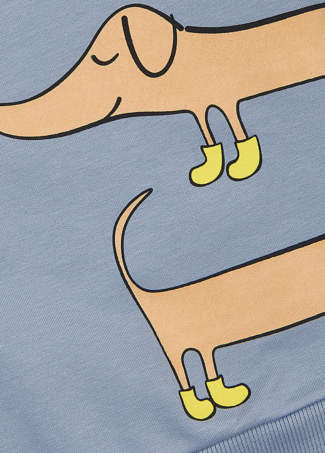 Костюм (свитшот, брюки) KRAKO (361966546)