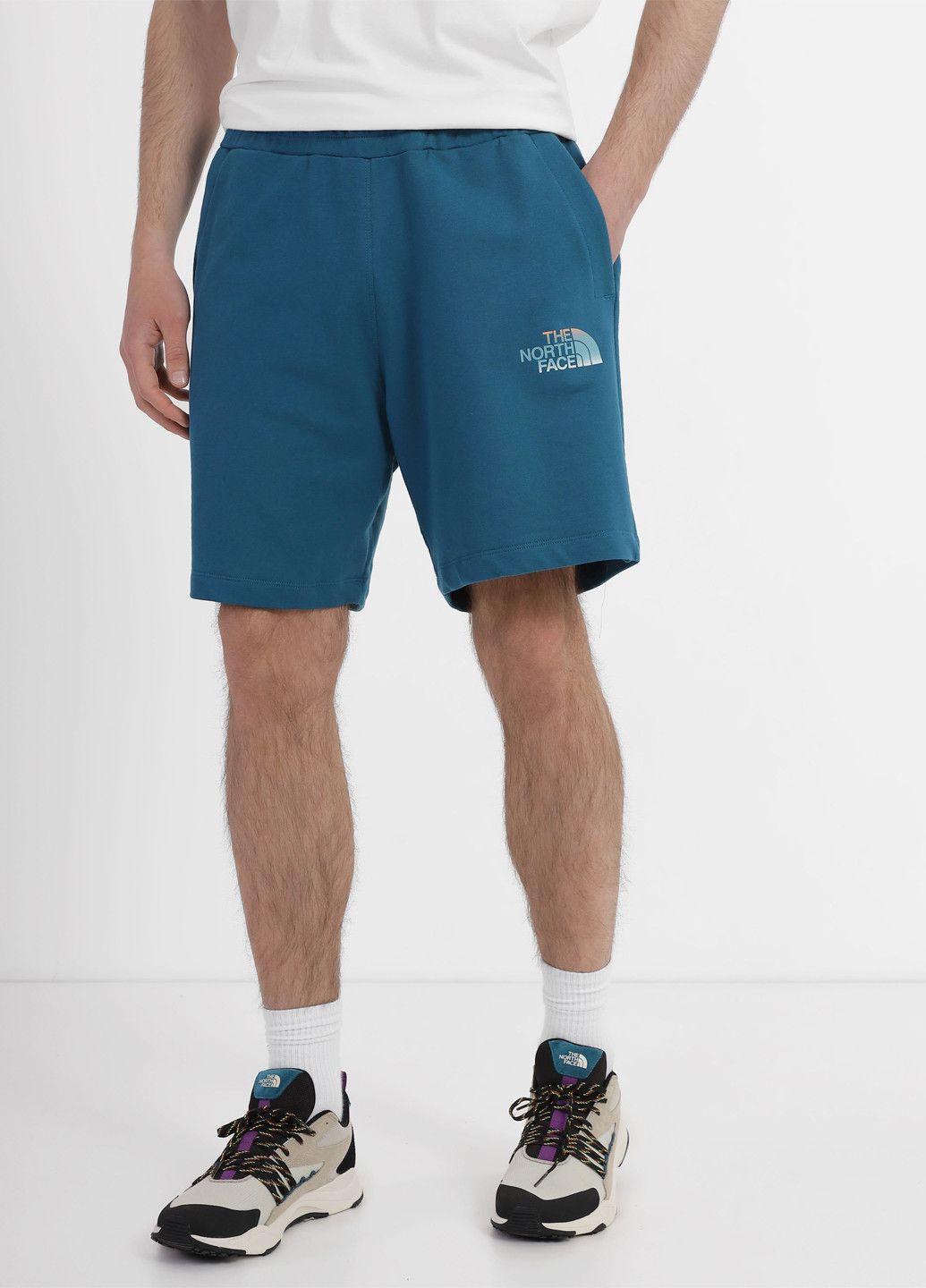Шорты The North Face (363353725)