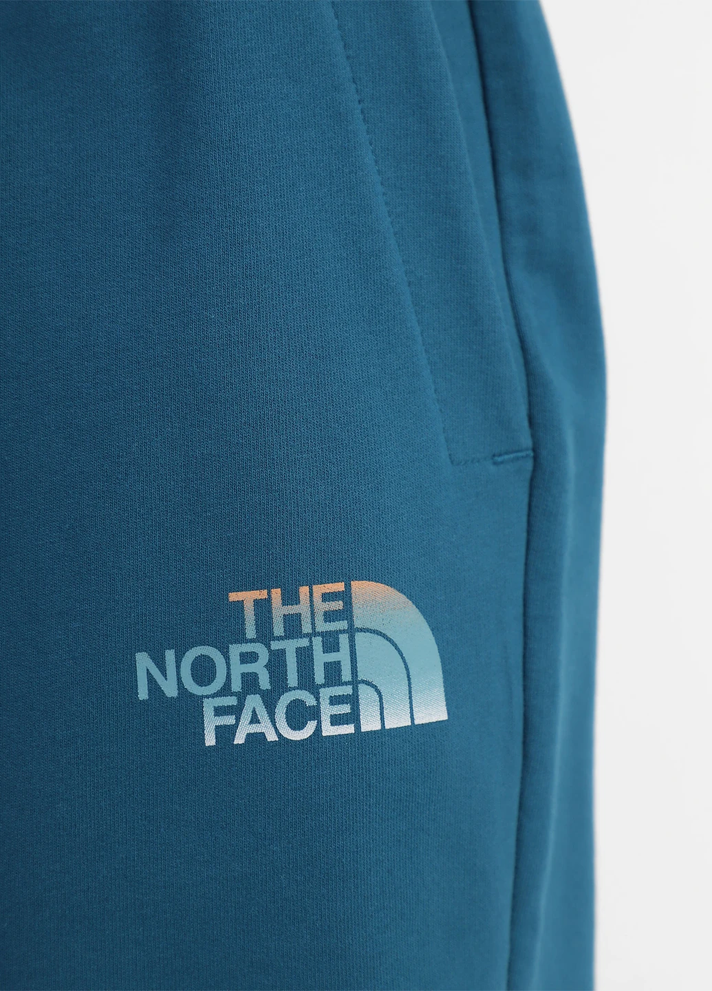 Шорты The North Face (363353725)