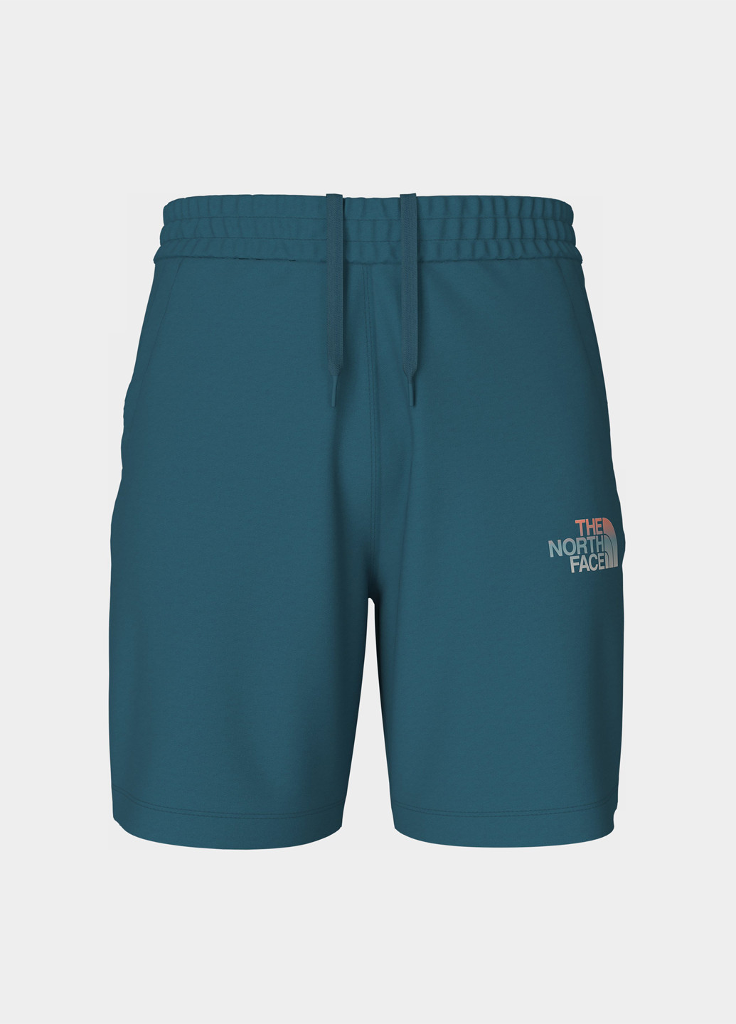 Шорты The North Face (363353725)