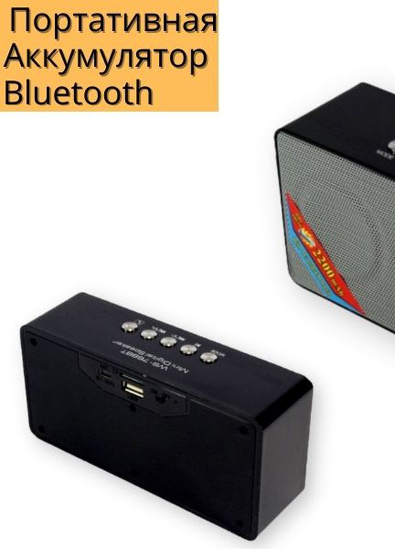 Колонка портативна WS-768 3Вт USB, SD, FM радіо, Bluetooth чорна (ws-768) XPRO (253495455)