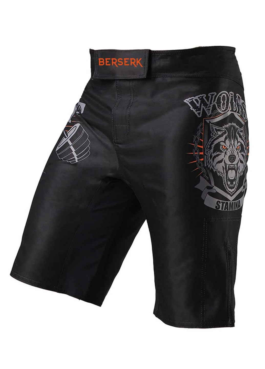 Шорти Berserk Sport (252922197)