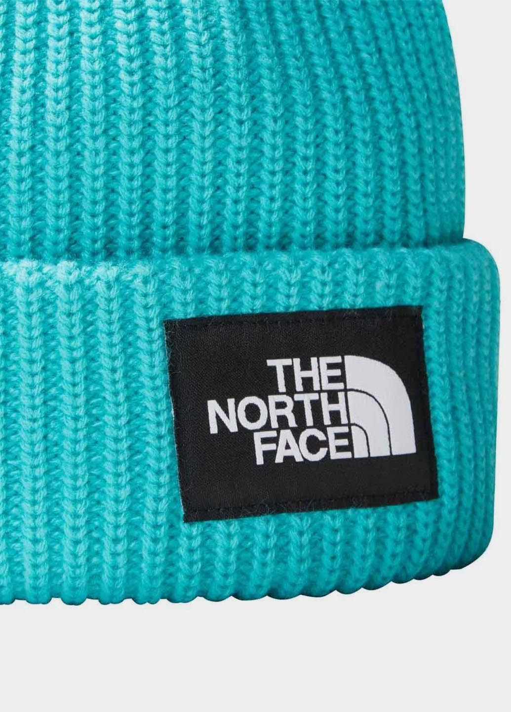 Шапка The North Face NF0A3FJWI0T1 (327234724)