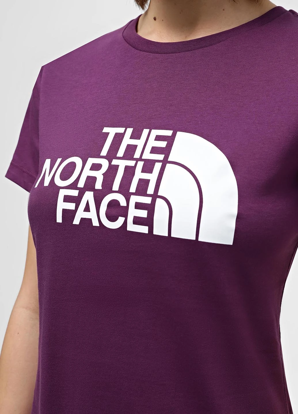 Футболка The North Face - (330358906)