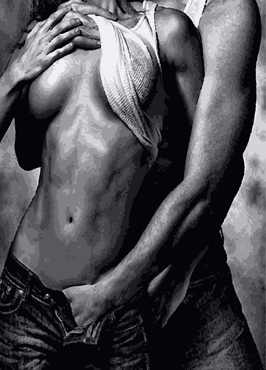 Картины по номерам "Сумасшедшая страсть" 40*50 см No Brand (254583845)