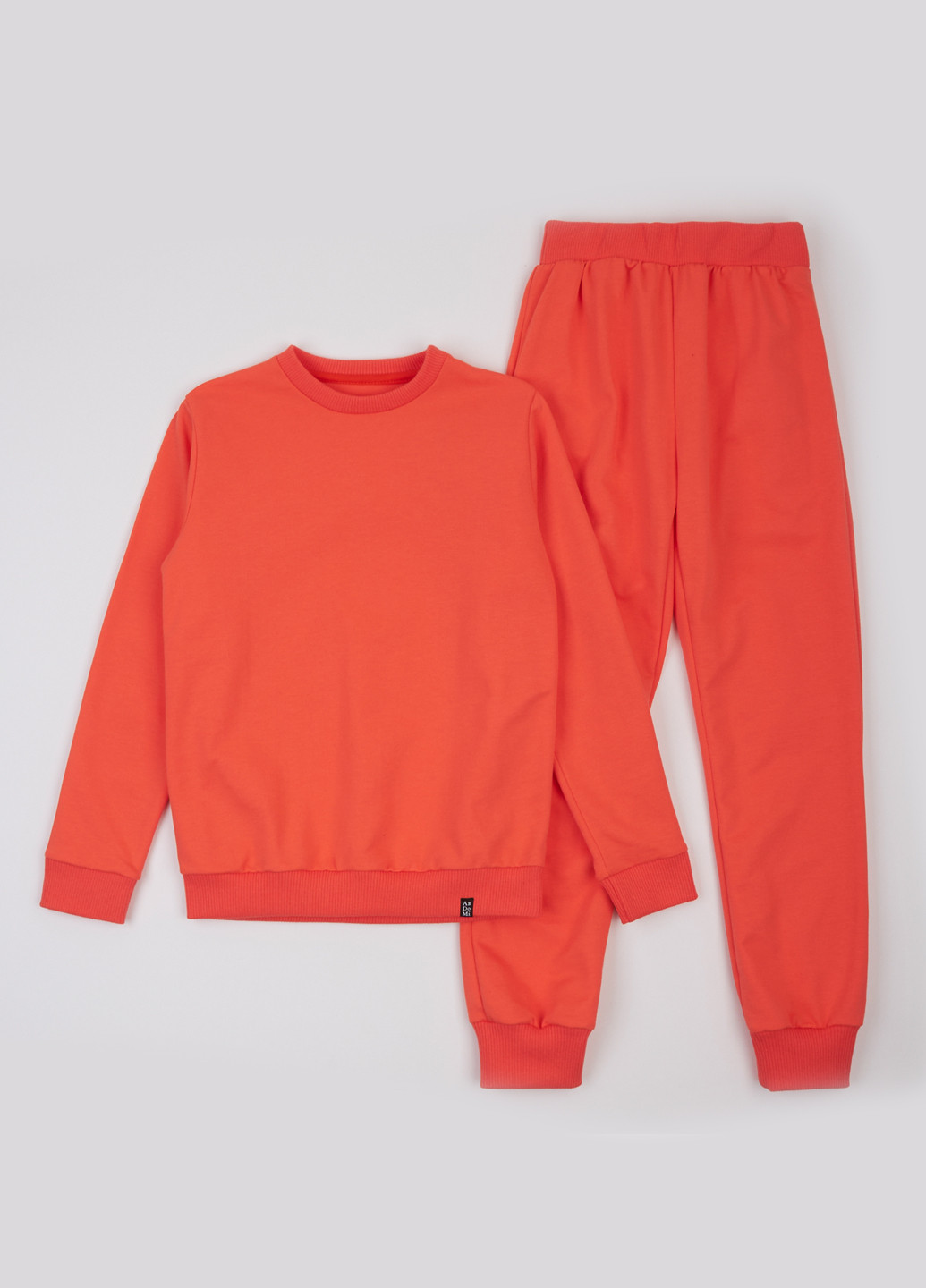 Костюм (світшот, штани) ArDoMi (316877940)