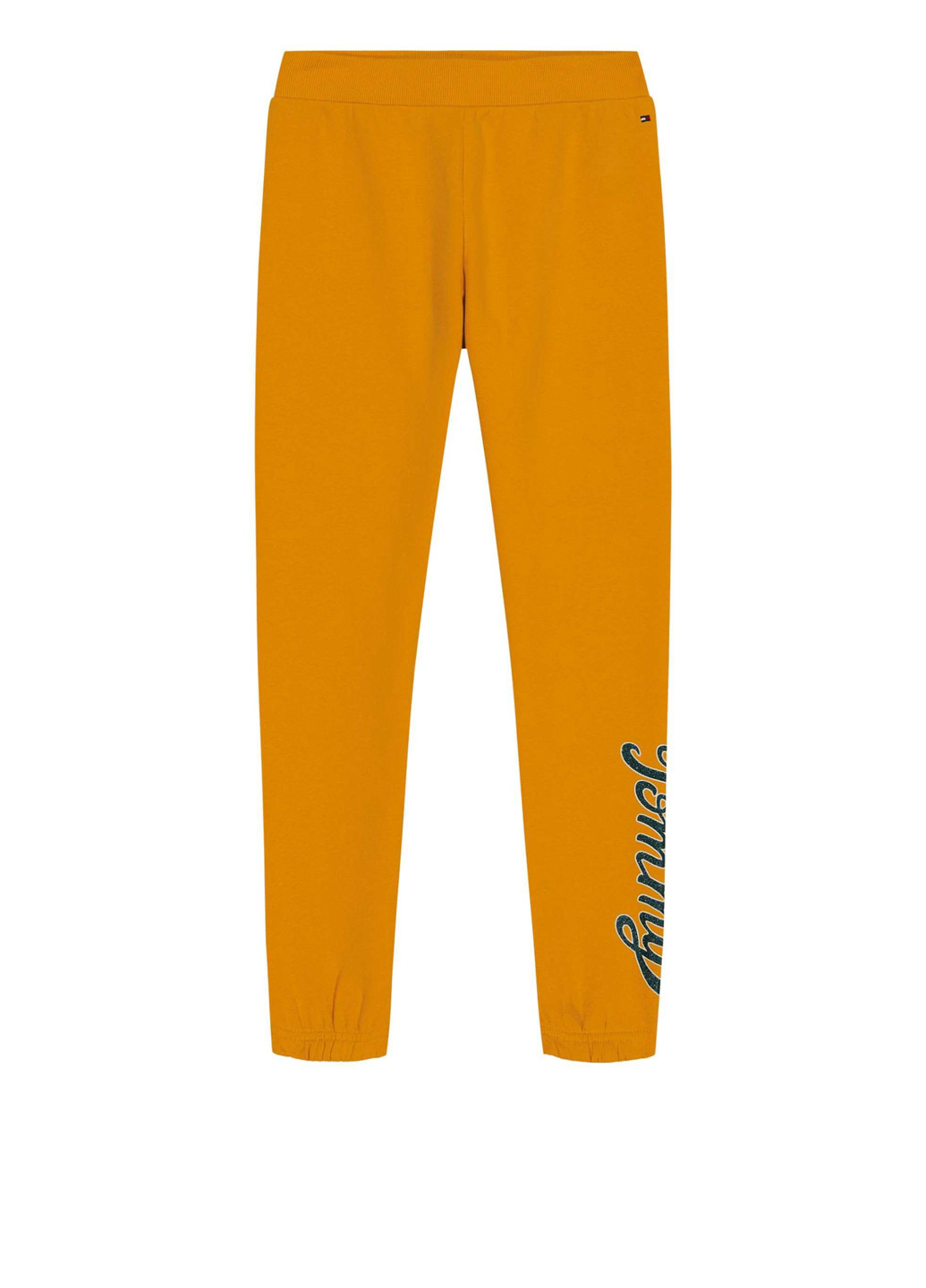 Штани Tommy Hilfiger (331013481)